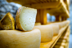 Study shows cheese cuts cholesterol compared with butter equivalent