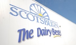 Saputo to expand fluid milk business through Scotsburn deal
