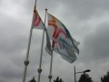 Frisian Flags
