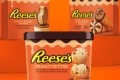 Three of the seven-strong line-up of frozen desserts to be released under the Reese's brand