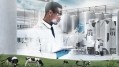 UHT milk for new innovations and opportunities 