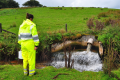 An Environment Agency employee inspects the outfall at the River Inny / Pic: Environment Agency