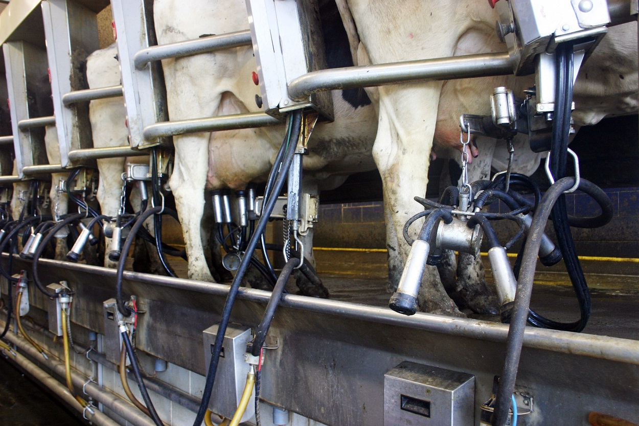 Canadian government invests in modernizing Quebec dairy farm