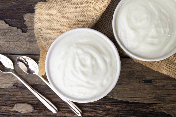 Plant-based yogurt demand bolsters market growth